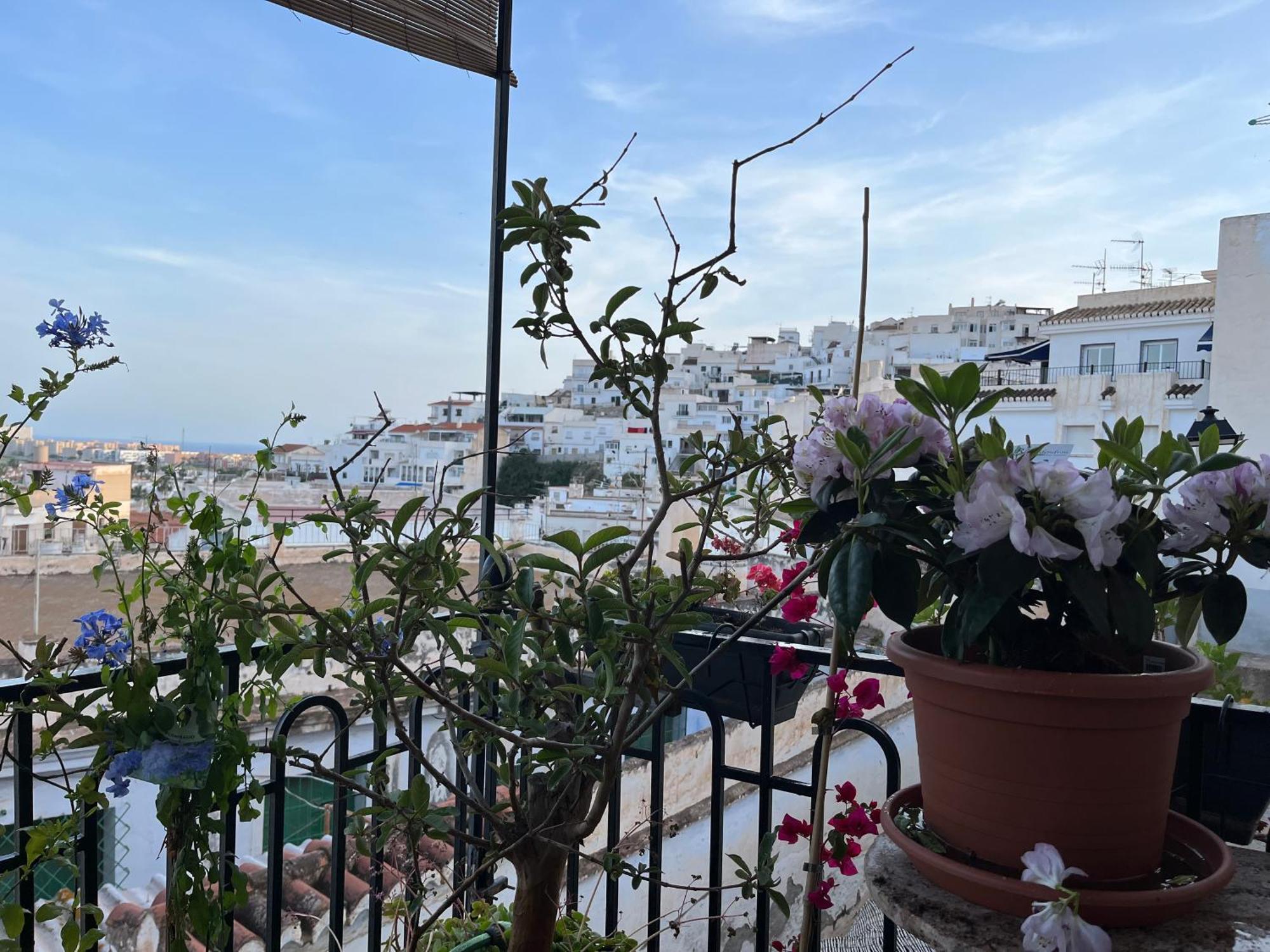 Amazing Sea And Mountain View! Casita Pinata Apartment Salobrena Exterior photo